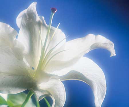 image001